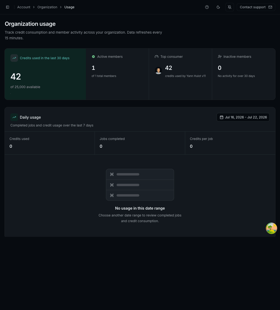 Organization usage dashboard with 30-day credits, active members, top consumer, and daily usage