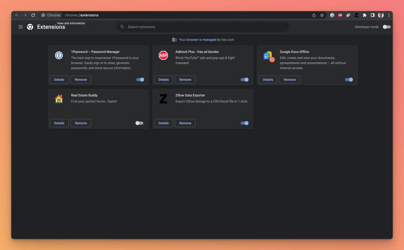 Image the extension page in the Chrome browser