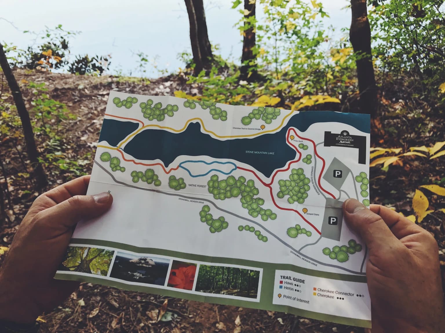 A map held by a man's hands